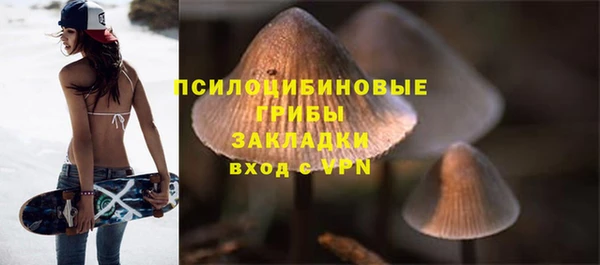mdpv Арсеньев