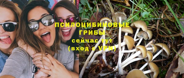 мескалин Баксан