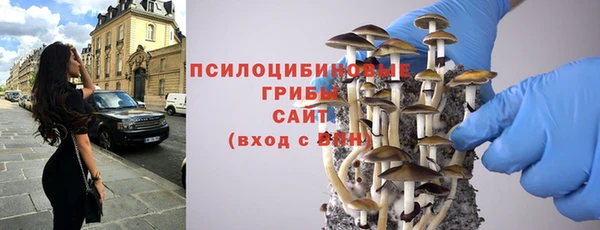 mdpv Арсеньев
